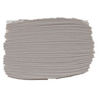 Carte Colori Universele Primer Beton CC079