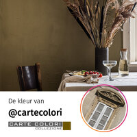 Carte Colori Projectverf Muschio CC124